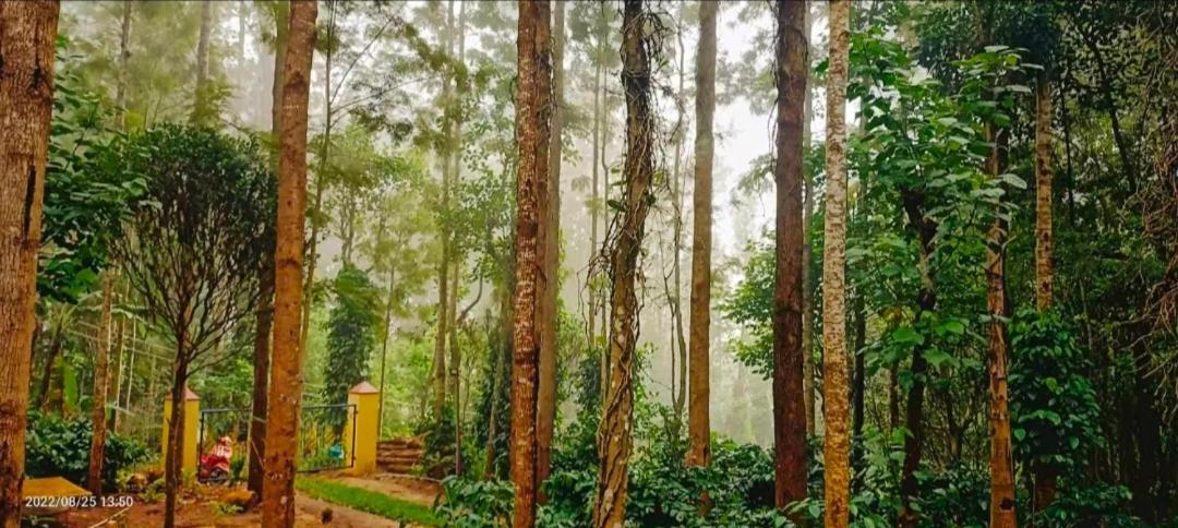 Sp Resort Inn Yercaud Eksteriør bilde